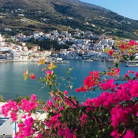 度假居 Captain S Sweet Home-villa Andros *